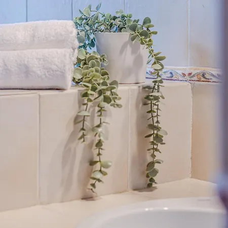 Roibooking Butterfly Con Terrazza Lägenhet Arezzo